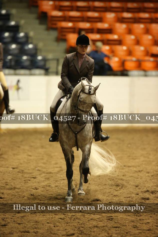 Proof 18BUCK_04527