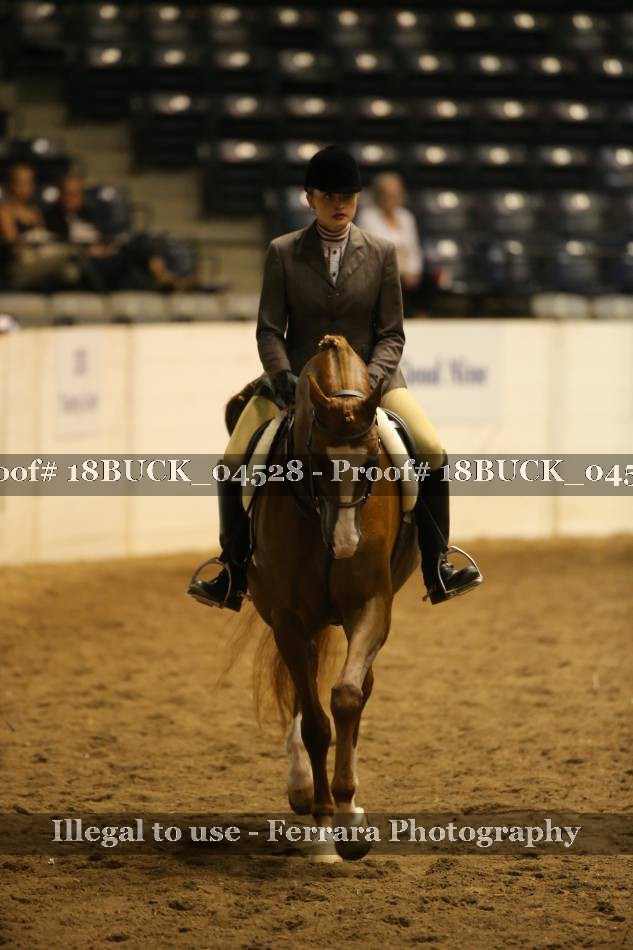 Proof 18BUCK_04528