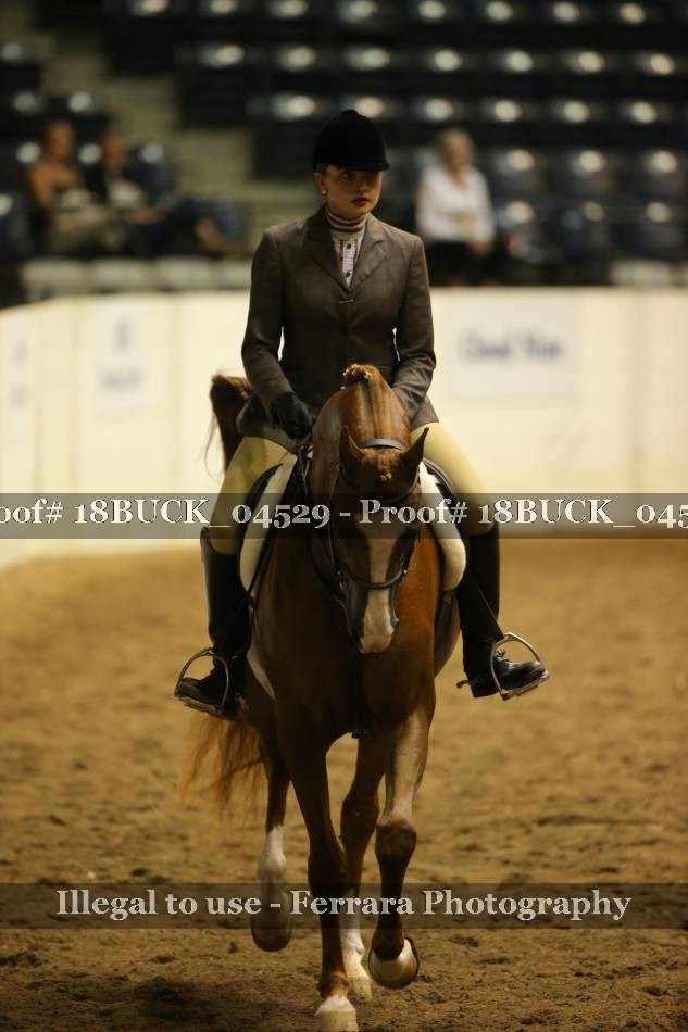 Proof 18BUCK_04529
