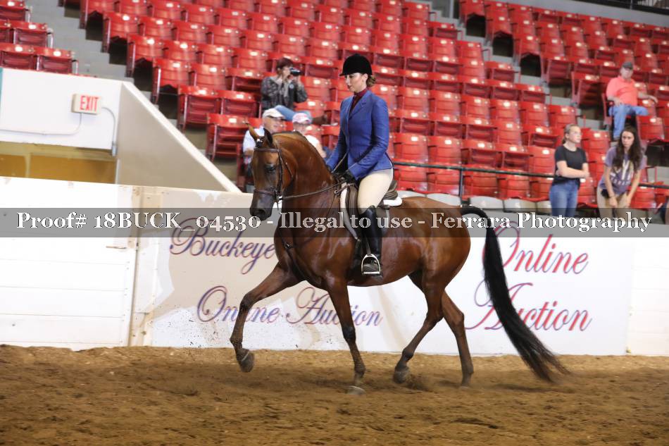 Proof 18BUCK_04530