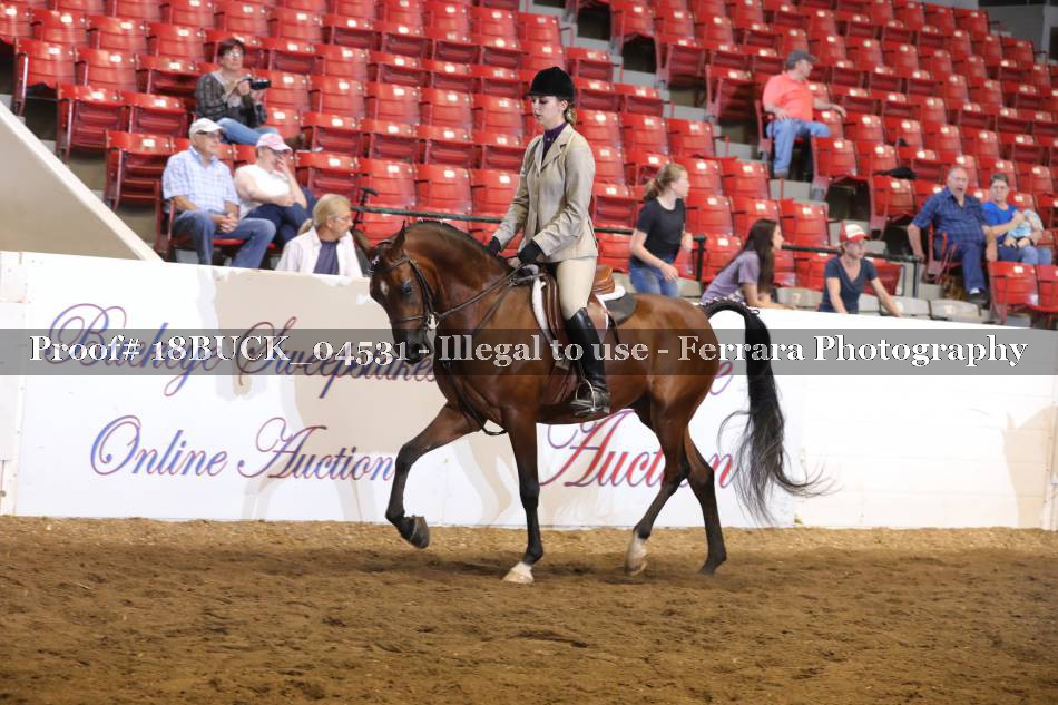 Proof 18BUCK_04531