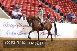 18BUCK_04531 proof