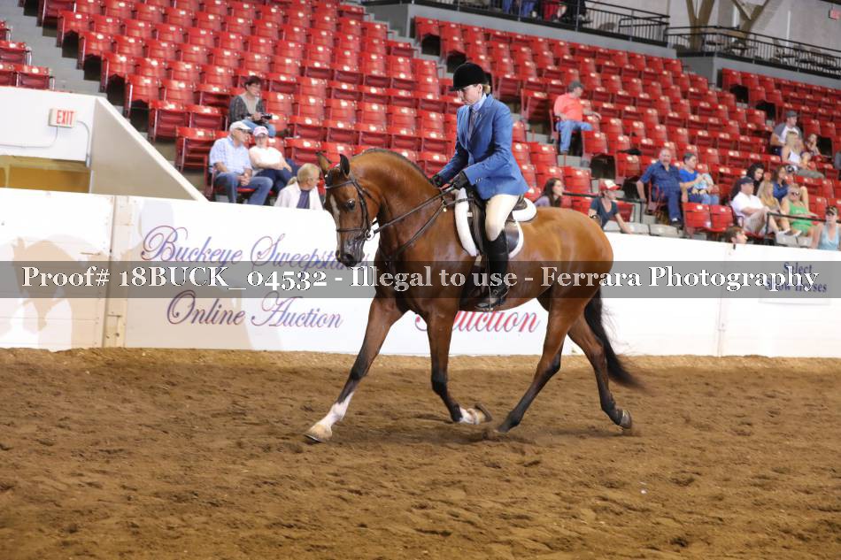 Proof 18BUCK_04532