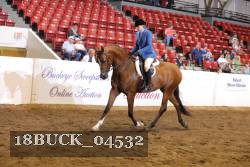 18BUCK_04532 proof
