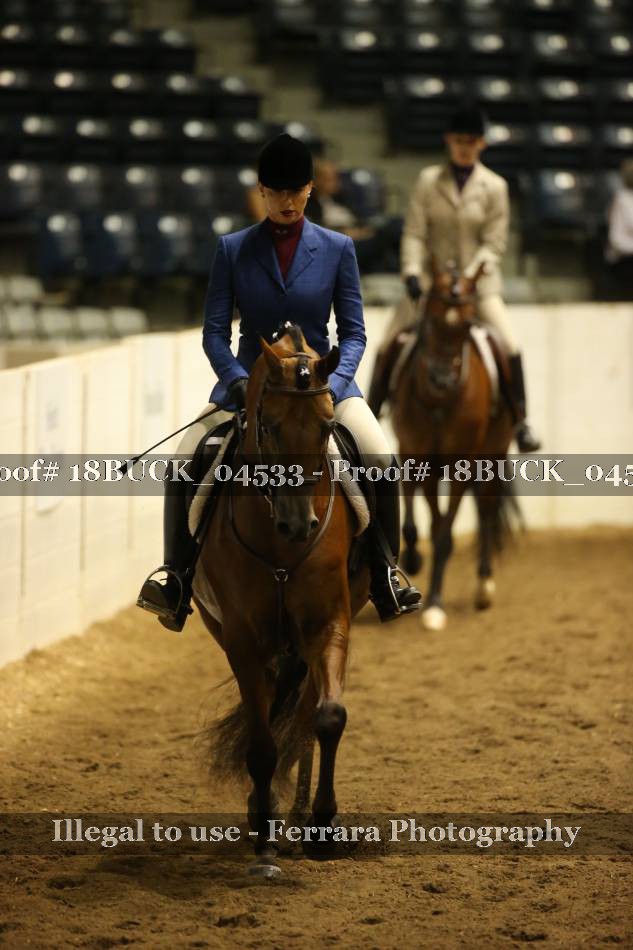 Proof 18BUCK_04533