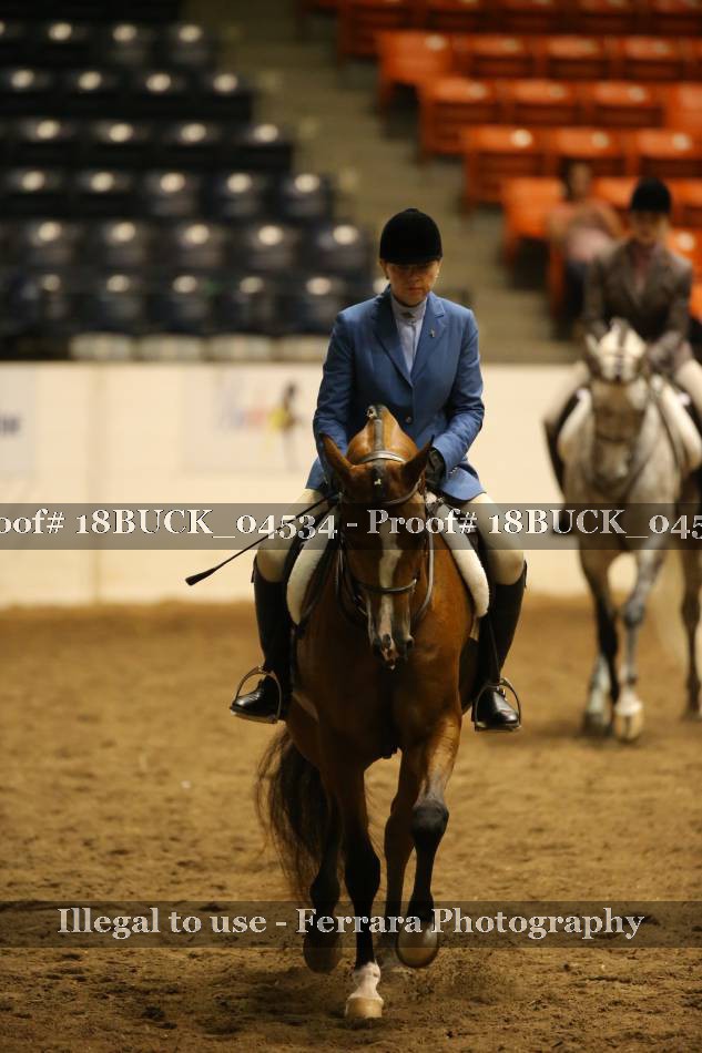 Proof 18BUCK_04534