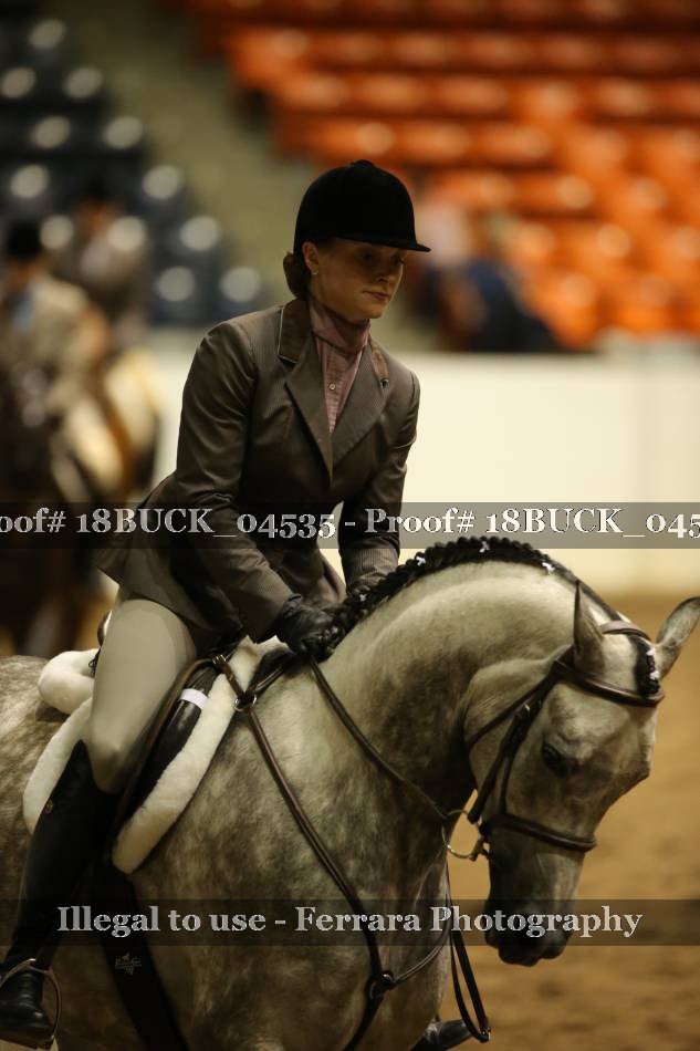 Proof 18BUCK_04535