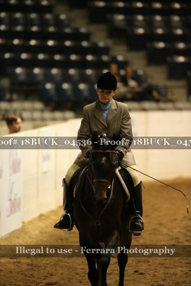 Proof 18BUCK_04536