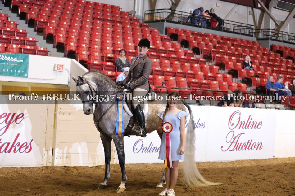Proof 18BUCK_04537