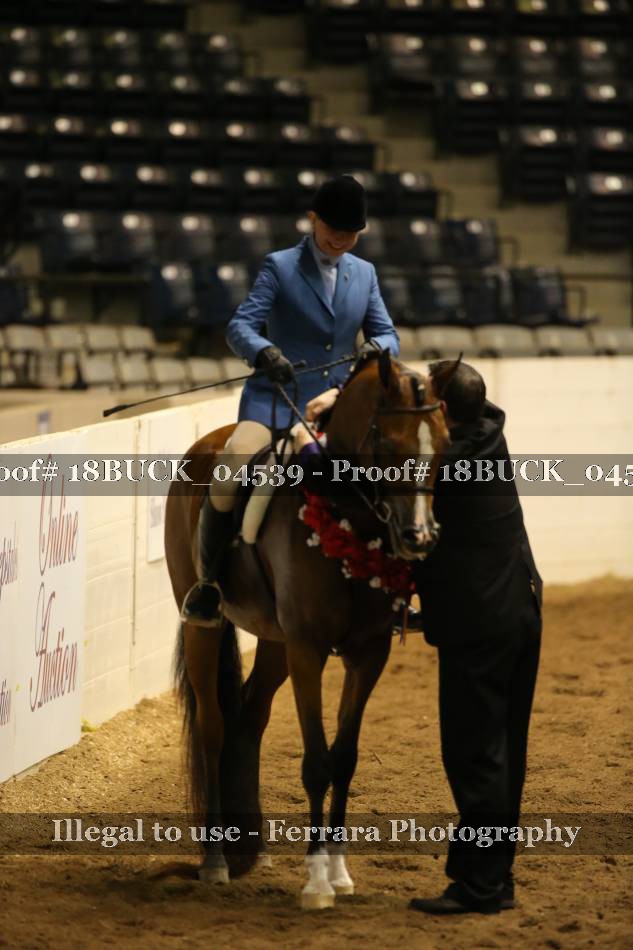 Proof 18BUCK_04539