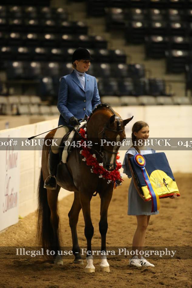 Proof 18BUCK_04542