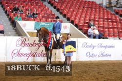 18BUCK_04543 proof