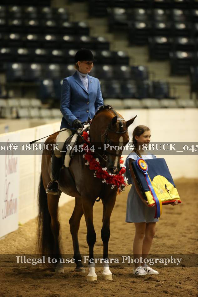 Proof 18BUCK_04544