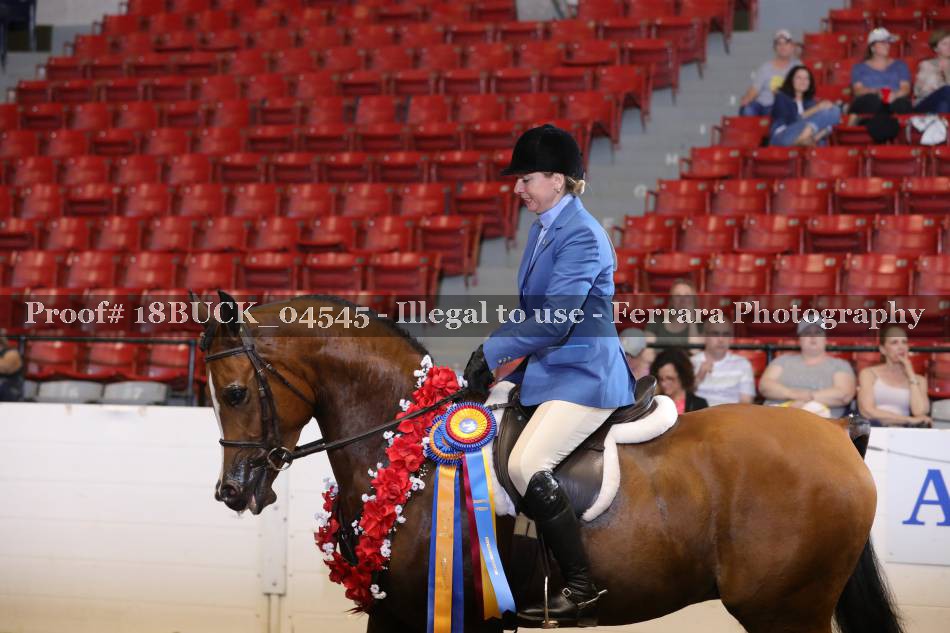 Proof 18BUCK_04545