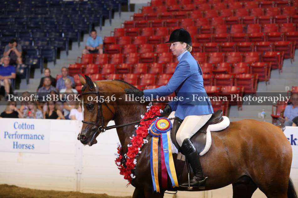Proof 18BUCK_04546
