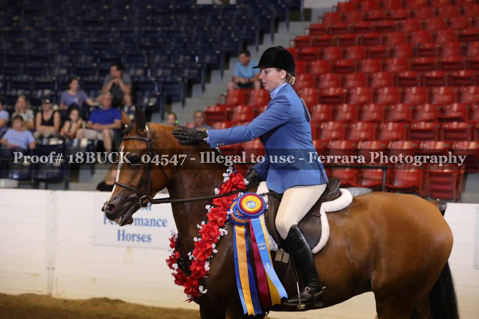 Proof 18BUCK_04547