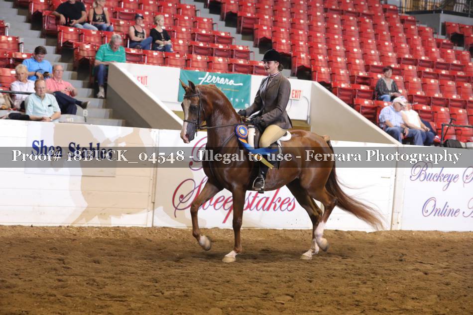 Proof 18BUCK_04548