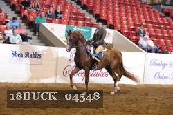 18BUCK_04548 proof