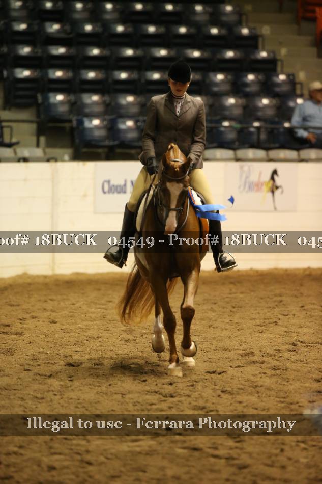 Proof 18BUCK_04549