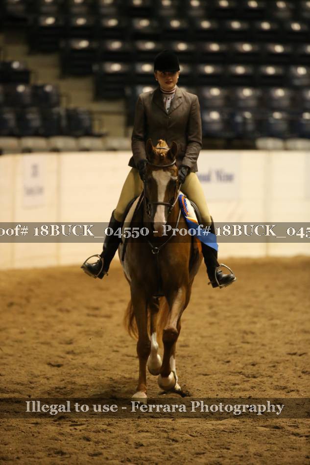Proof 18BUCK_04550