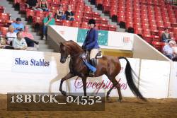 18BUCK_04552 proof