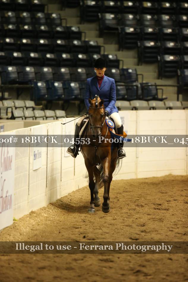 Proof 18BUCK_04553