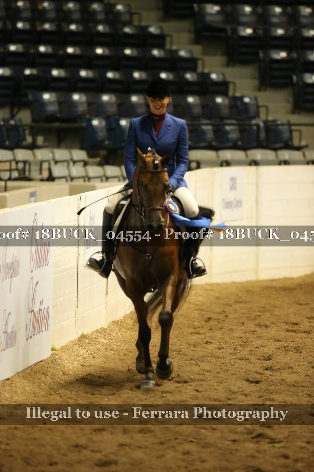 Proof 18BUCK_04554