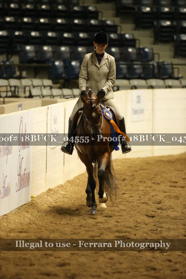 Proof 18BUCK_04555