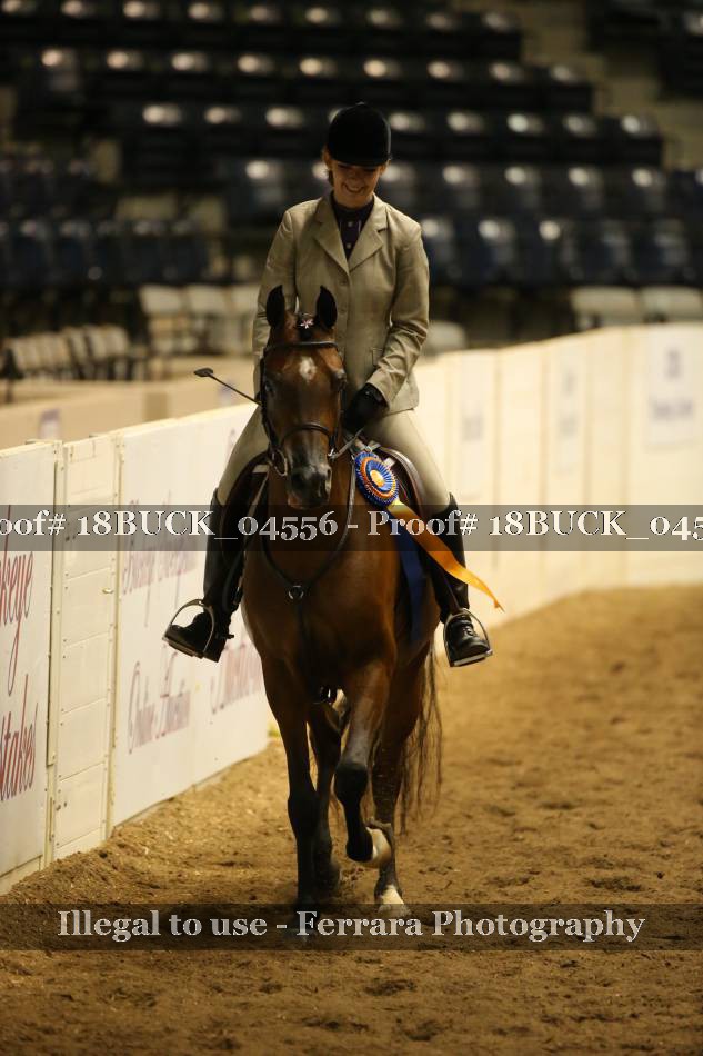 Proof 18BUCK_04556