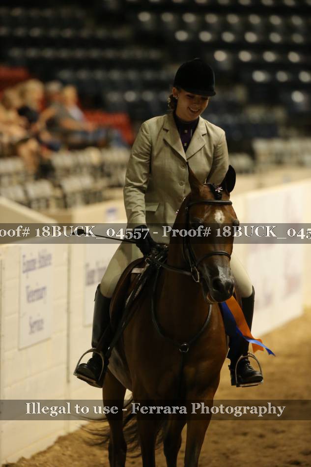 Proof 18BUCK_04557