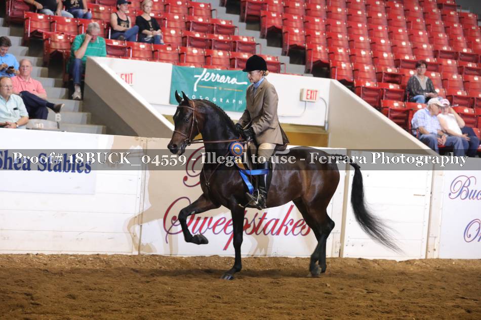 Proof 18BUCK_04559