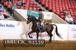 18BUCK_04559 proof