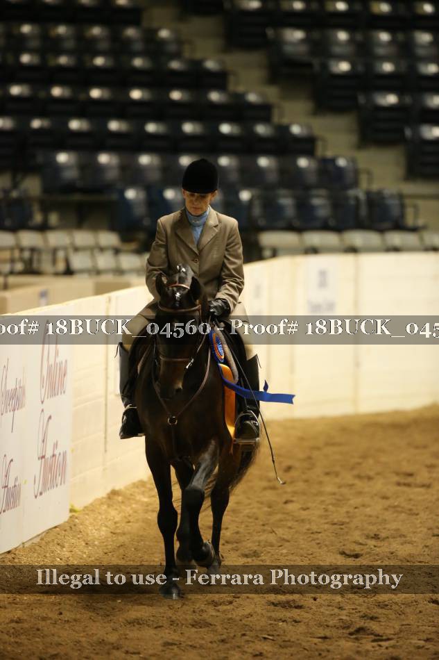 Proof 18BUCK_04560