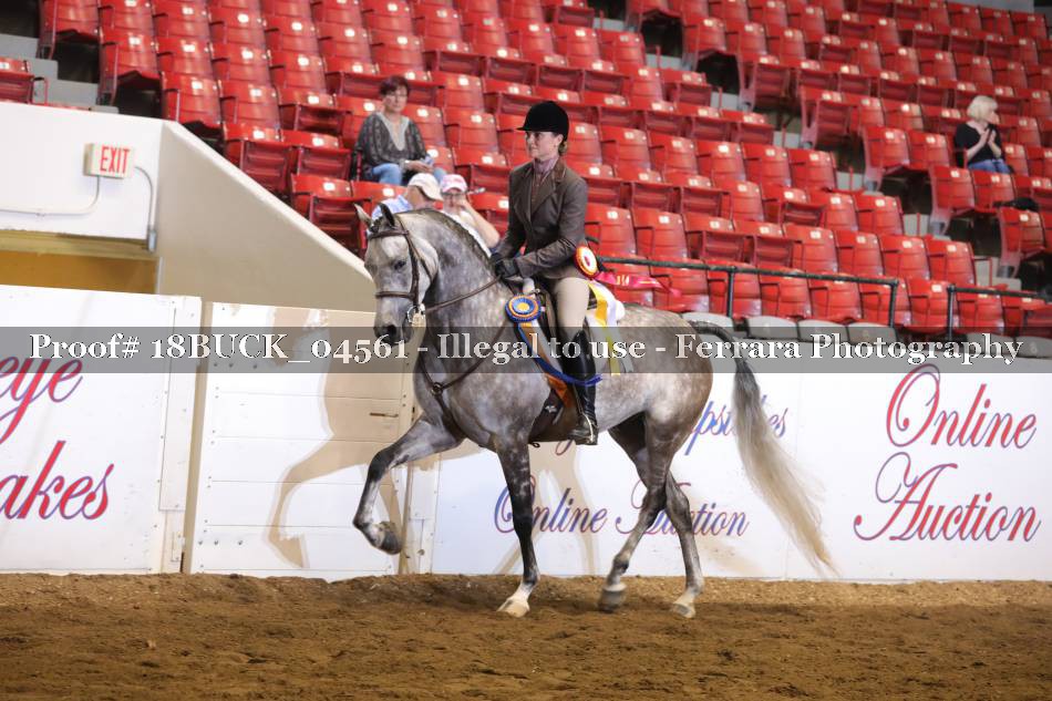 Proof 18BUCK_04561