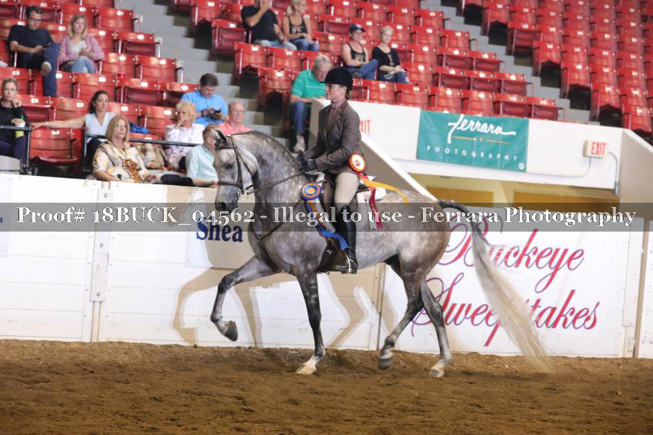 Proof 18BUCK_04562