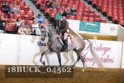 18BUCK_04562 proof