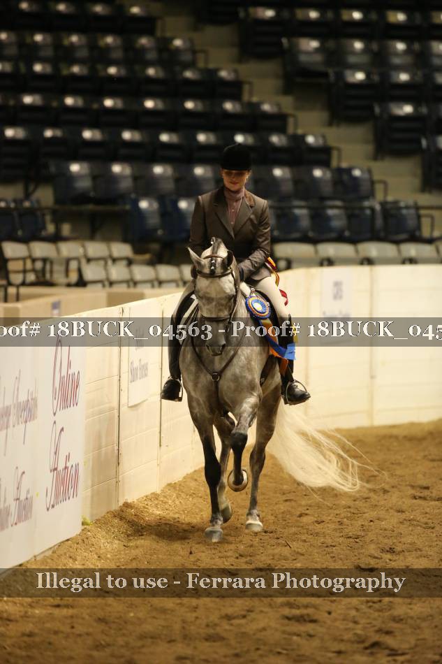Proof 18BUCK_04563