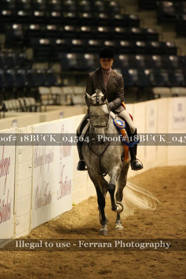 Proof 18BUCK_04564