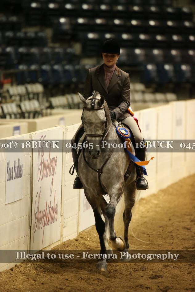 Proof 18BUCK_04565