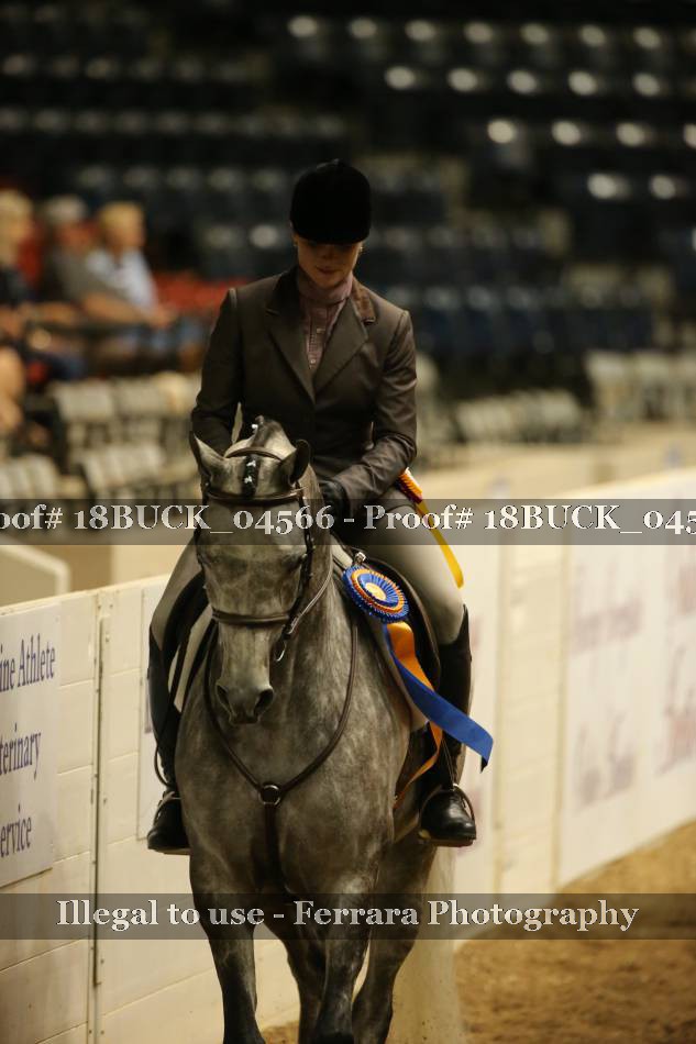Proof 18BUCK_04566