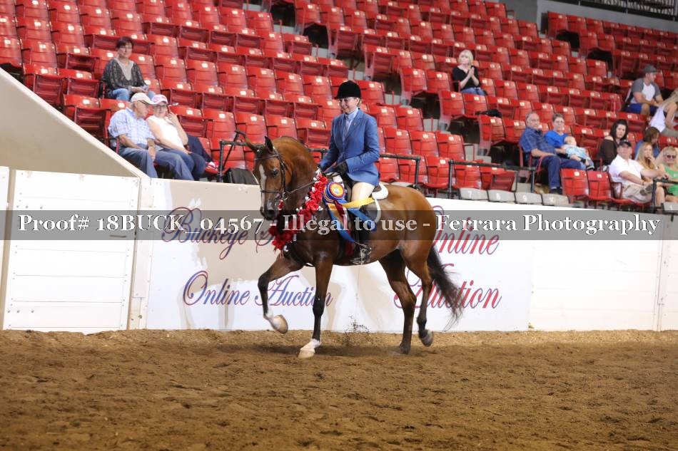 Proof 18BUCK_04567