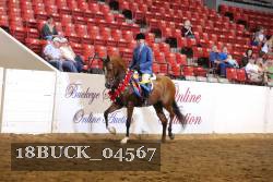 18BUCK_04567 proof