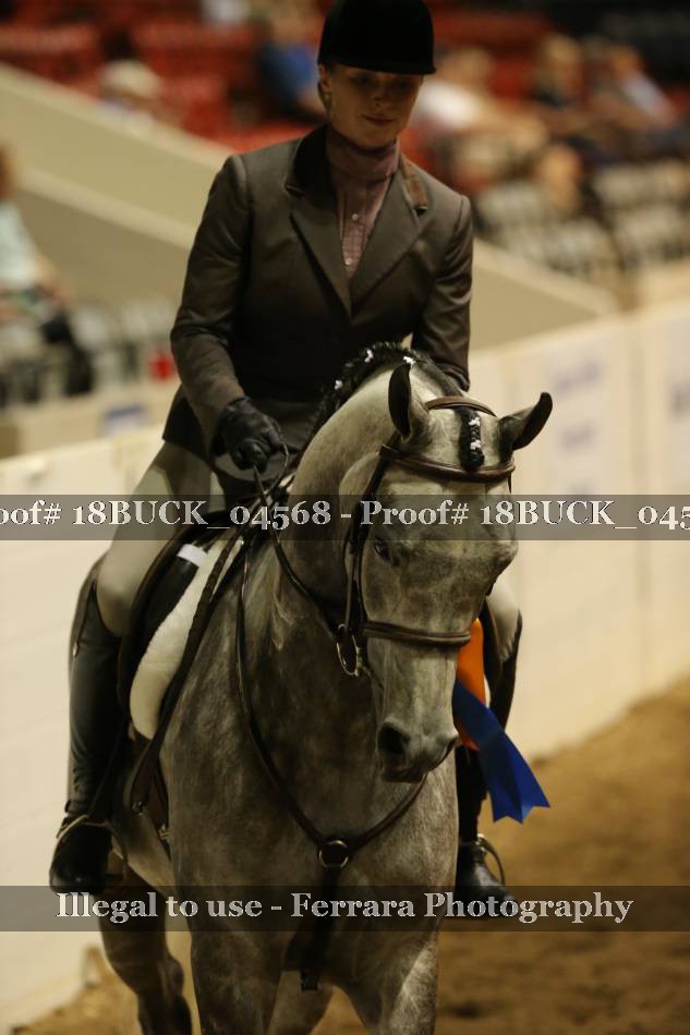 Proof 18BUCK_04568
