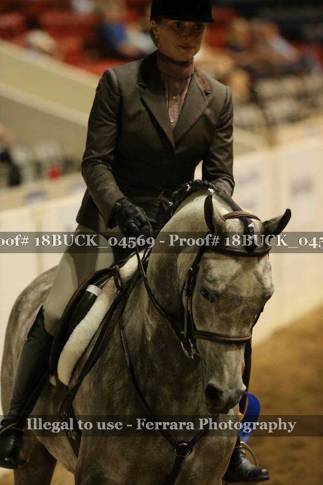 Proof 18BUCK_04569