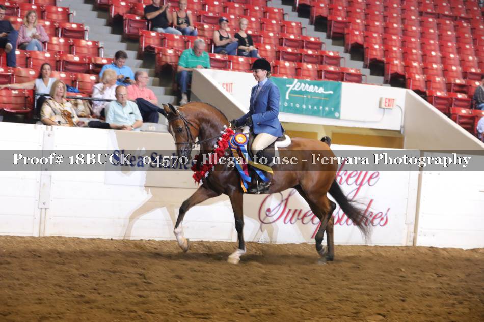 Proof 18BUCK_04570