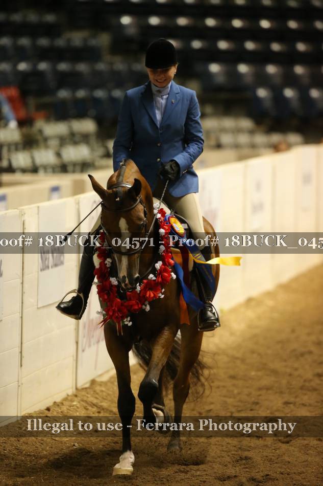 Proof 18BUCK_04571