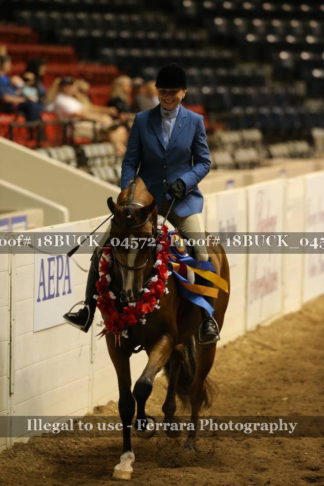 Proof 18BUCK_04572