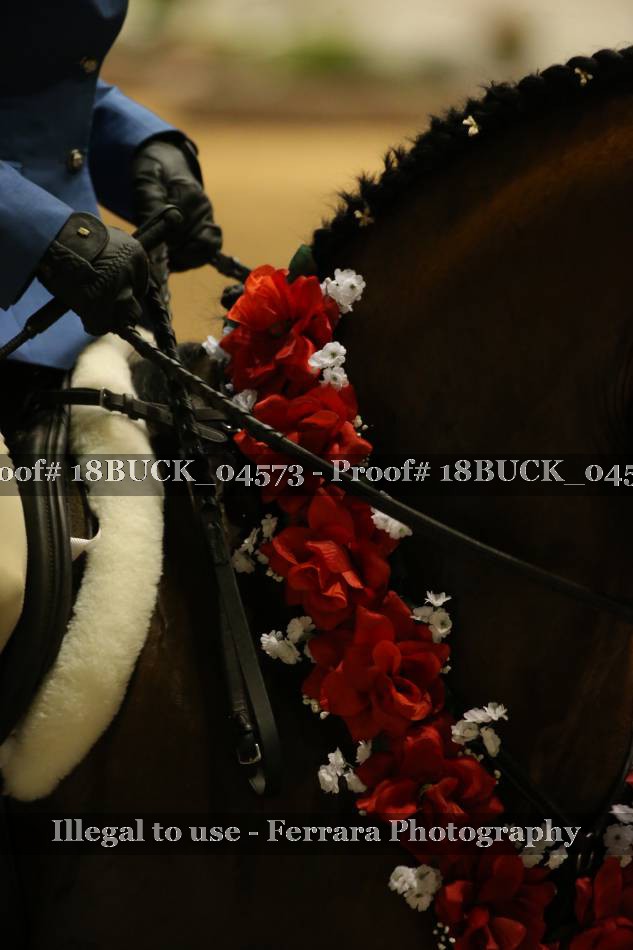 Proof 18BUCK_04573