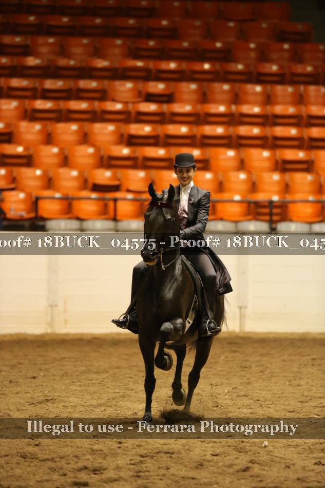 Proof 18BUCK_04575