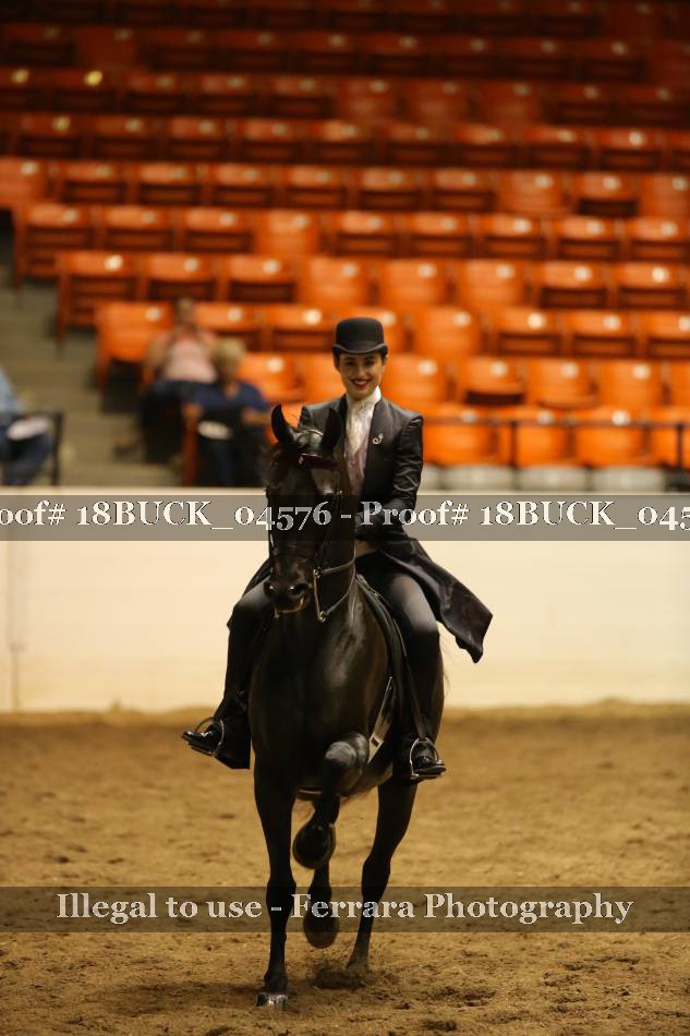 Proof 18BUCK_04576